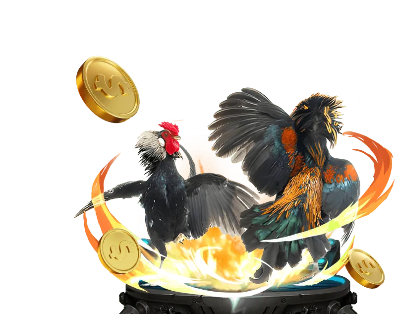 Đội ngũ hỗ trợ khách hàng vip777